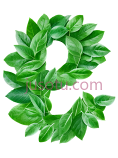 树叶,自然,绿色PNG