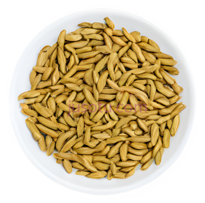 瓜子,圆形排列,浅棕色, PNG