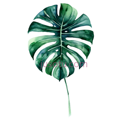 水彩,绿萝叶, PNG