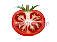 番茄片PNG