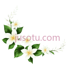 花卉, PNG