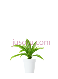 植物, PNG