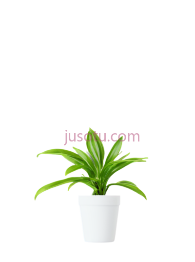 植物, PNG