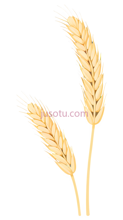 麦穗, PNG