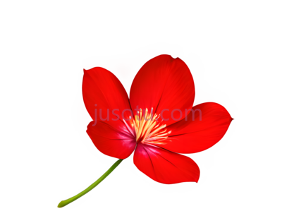 红色花瓣, PNG