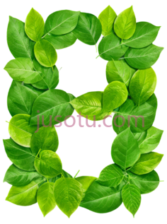 树叶,自然,绿色PNG