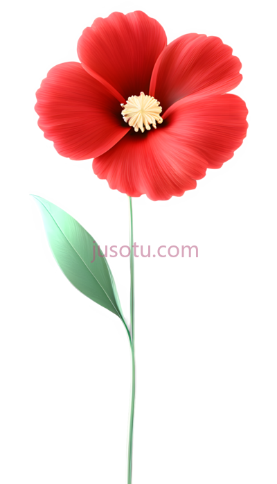 红色花瓣, PNG