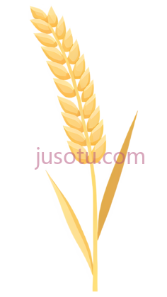 小麦穗PNG