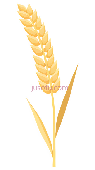 小麦穗, PNG