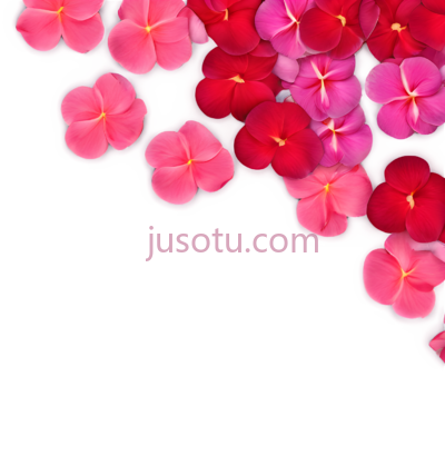 花瓣, PNG