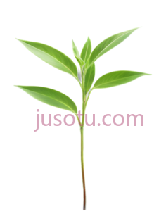 植物, PNG