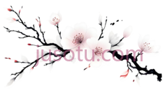 盛开的花瓣PNG