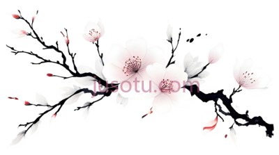 盛开的花瓣, PNG