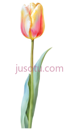 郁金香,水彩画PNG