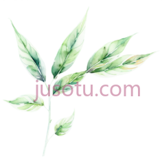 香茅叶PNG