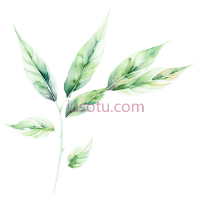 香茅叶, PNG
