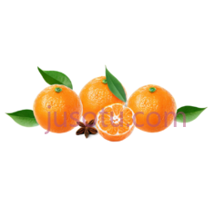 橘汁橙, PNG