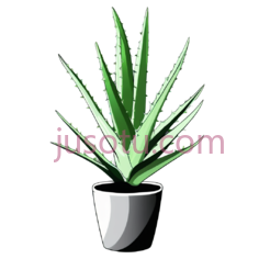 芦荟,插画,绿色PNG