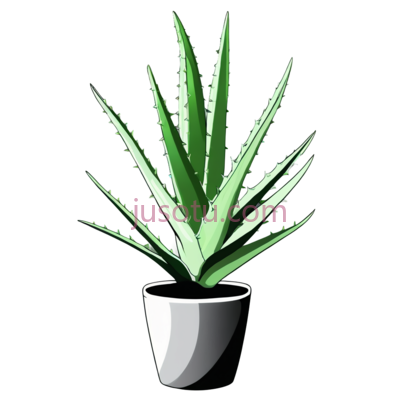 芦荟,插画,绿色, PNG