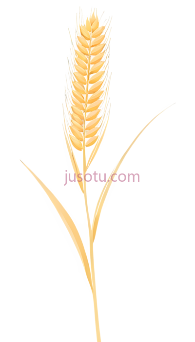 麦穗,土色, PNG