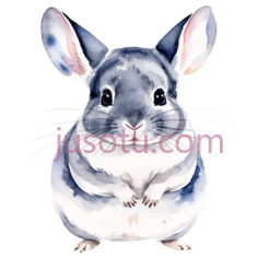 仓鼠,水彩画,灰色PNG