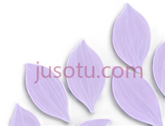 薰衣草花瓣PNG