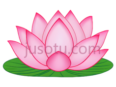 莲花,卡通,粉色PNG