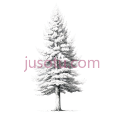 树,素描,白色PNG