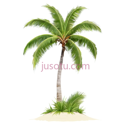 曲线椰树, PNG