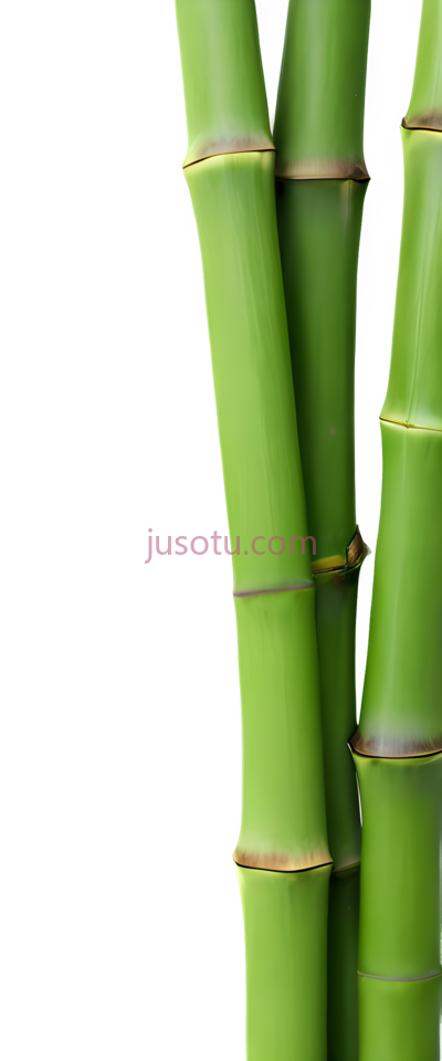 绿色竹子, PNG