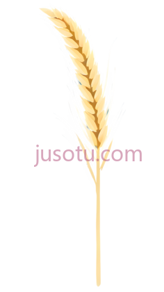 小麦穗PNG