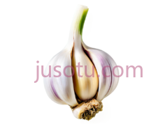大蒜PNG