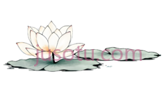 荷花,禅意水墨PNG