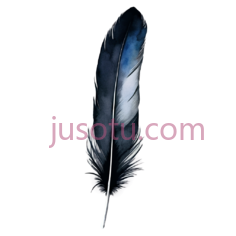 黑色羽毛PNG