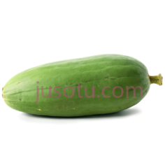 哈密瓜,自然,绿色PNG