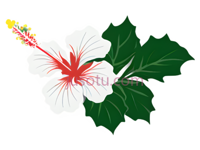 卡通,花朵, PNG