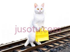 猫,站立,白色PNG