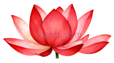 红莲花瓣, PNG