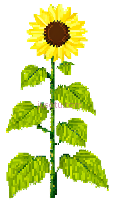 向日葵花瓣, PNG