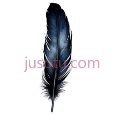 黑色羽毛PNG