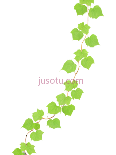 环绕藤蔓, PNG