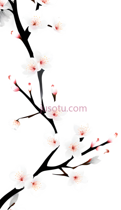 樱花花瓣, PNG