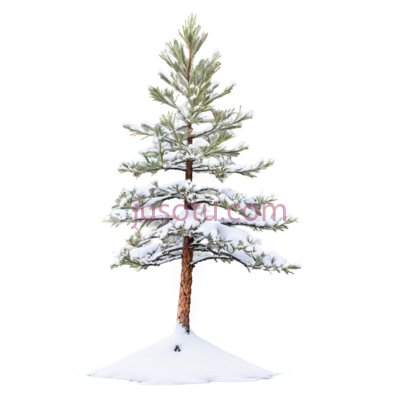 雪松,卡通,绿色,白色, PNG