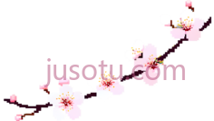 梅花,迷人PNG
