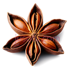 八角,调味料PNG