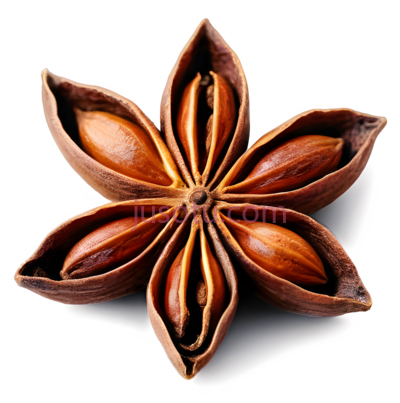 八角,调味料, PNG