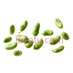 蚕豆PNG