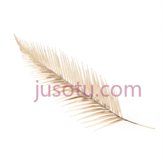 羽毛,白色, PNG