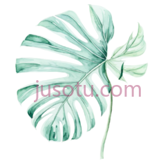 龟背竹叶, PNG