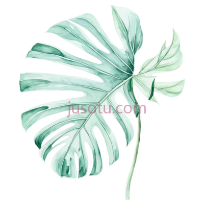 龟背竹叶, PNG